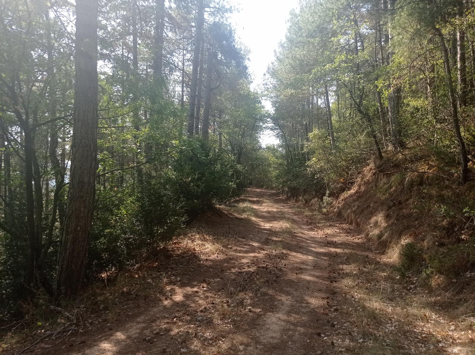 Ruta Angrill-Camí vell de Cal Xalagues